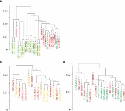 Accelerating Onset of Puberty Through Modification of Early Life Nutrition Induces Modest but Persistent Changes in Bull Sperm DNA Methylation Profiles Post-puberty